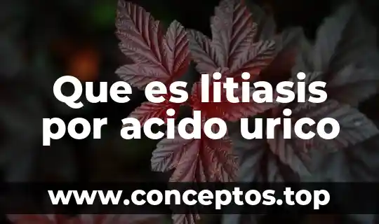 Que es litiasis por acido urico