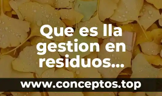 Que es lla gestion en residuos peligrosos