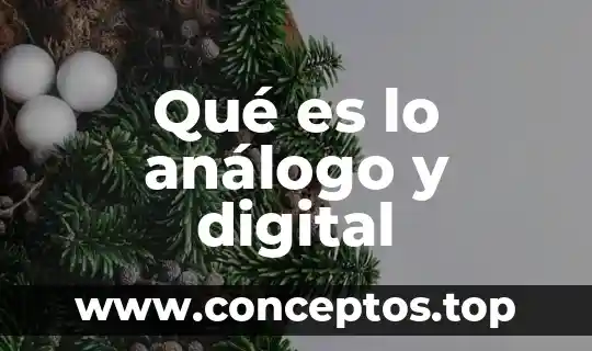 Qué es lo análogo y digital