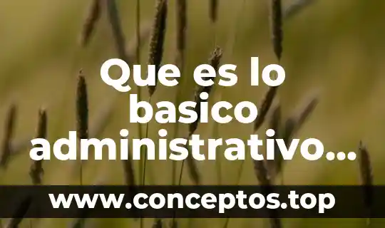 Que es el control en proceso administrativo 4 Que es lo basico administrativo en una empresa