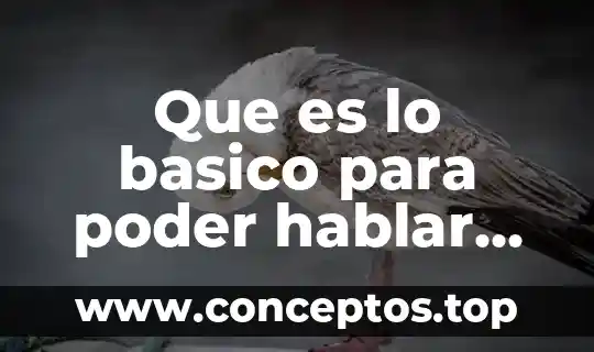 Que es lo basico para poder hablar ingles