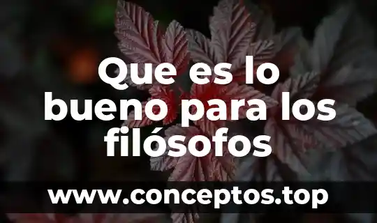 Que es lo bueno para los filósofos