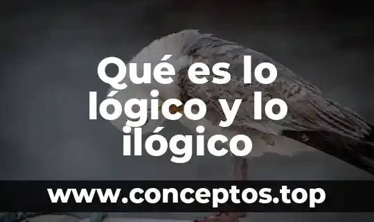 Qué es lo lógico y lo ilógico
