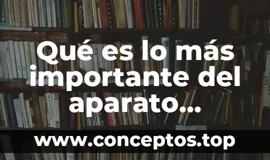 Que es lo mas importante que necesita un recien nacido 7 Qué es lo más importante del aparato locomotor