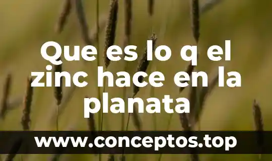 Que es lo q el zinc hace en la planata
