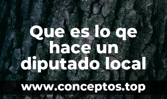 Que es lo qe hace un diputado local