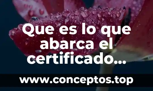 Que es lo que abarca el certificado medico