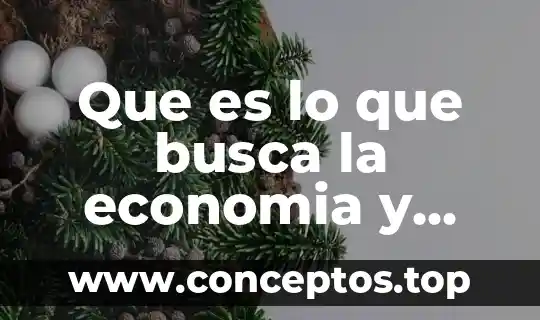 Que es lo que busca la economia y sociedad mexicana