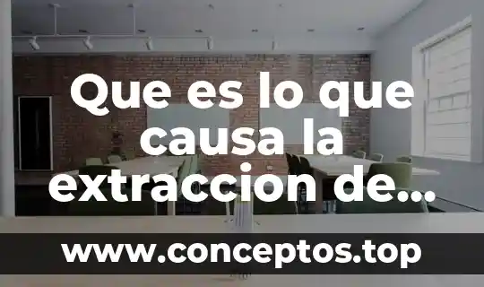 Que es extraccion de textos 8 Que es lo que causa la extraccion de la plata