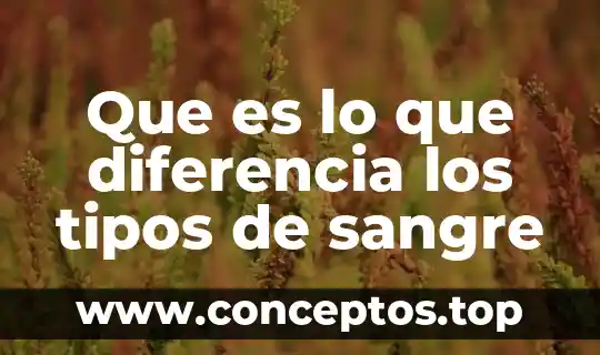 Que es lo que diferencia los tipos de sangre