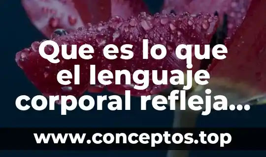 Que es lo que el lenguaje corporal refleja de nosotros