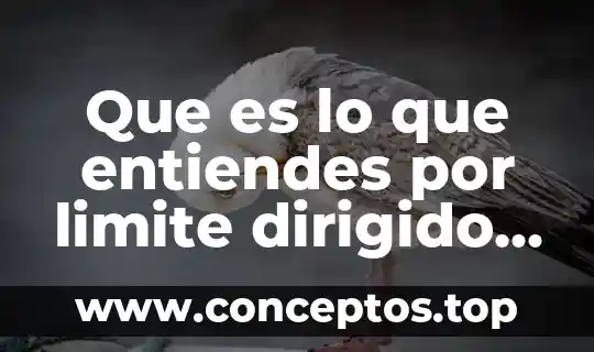 Que es lo que entiendes por limite dirigido al calculo