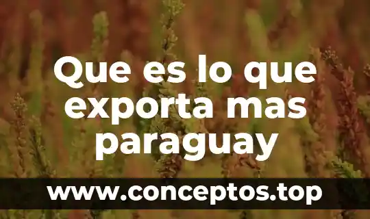 Que es lo que mas exporta en alimento en francia 3 Que es lo que exporta mas paraguay
