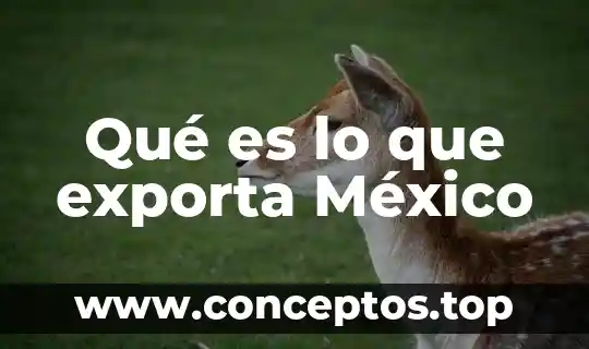 Que es lo que mas exporta en alimento en francia 6 Qué es lo que exporta México