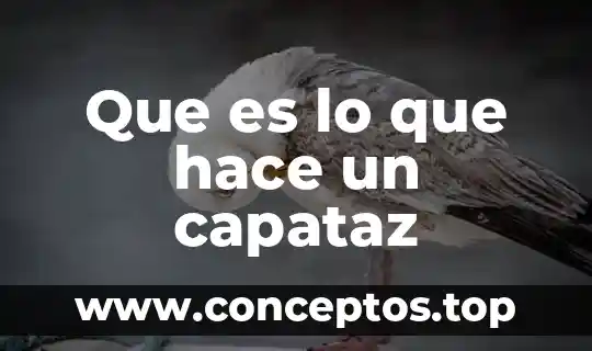 Que es lo que hace un capataz