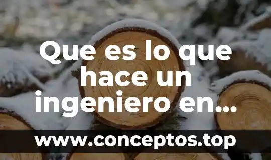 Que es lo que hace un ingeniero en minas