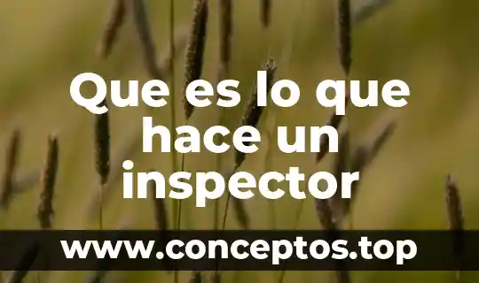 Que es lo que hace un inspector
