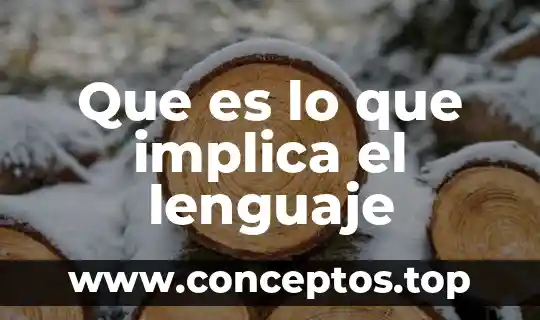 Que es lo que implica el lenguaje