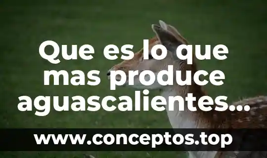 Que es lo que mas produce tijuana en la industria 7 Que es lo que mas produce aguascalientes resumen breve