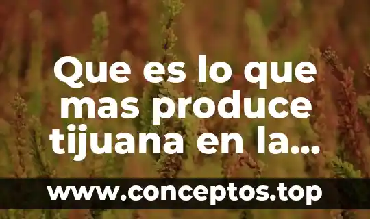 Que es lo que mas se produce en oaxaca 8 Que es lo que mas produce tijuana en la industria