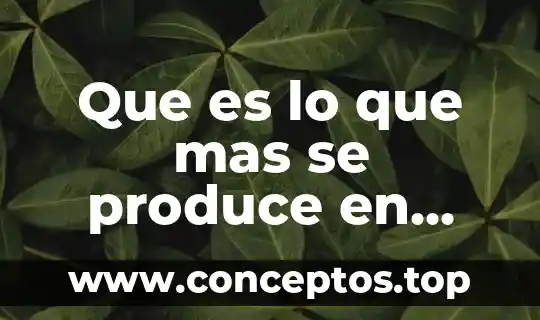 Que es lo que mas produce tijuana en la industria 5 Que es lo que mas se produce en oaxaca