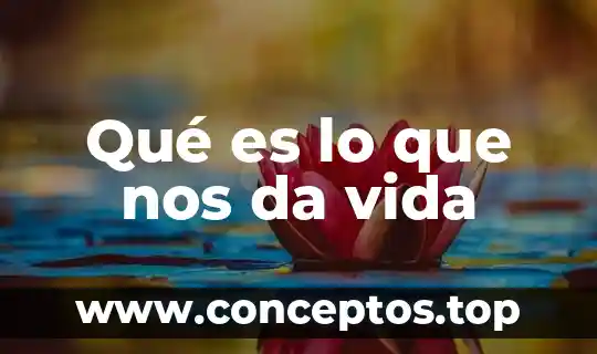 Qué es lo que nos da vida