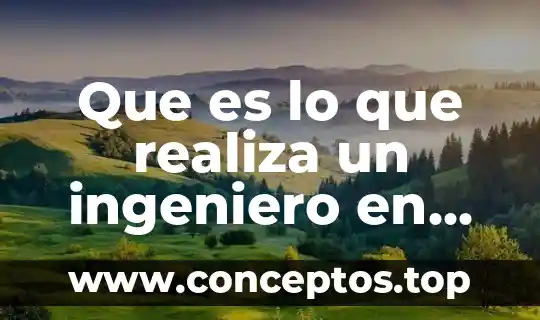 Que es lo que realiza un ingeniero en informatica