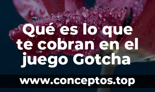 Qué es lo que te cobran en el juego Gotcha