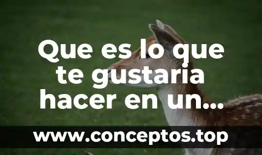Que es lo que te gustaria hacer en un noviazgo