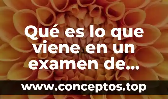 Qué es lo que viene en un examen de derecho