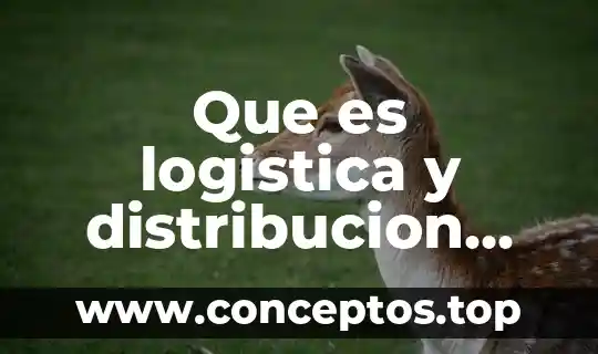 Que es la cruz verde internacional 3 Que es logistica y distribucion fisica internacional