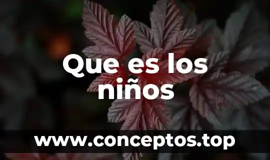 Que es los niños