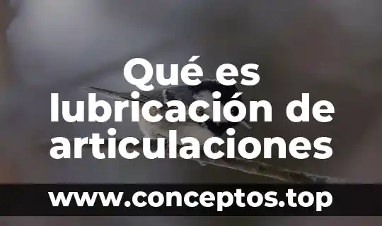 Qué es lubricación de articulaciones