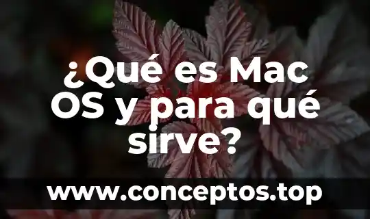 ¿Qué es Mac OS y para qué sirve?