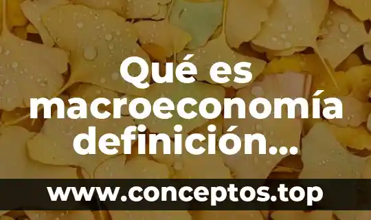 Qué es macroeconomía definición corta