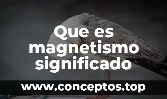 Que es aterrizar en electricidad y magnetismo 4 Que es magnetismo significado