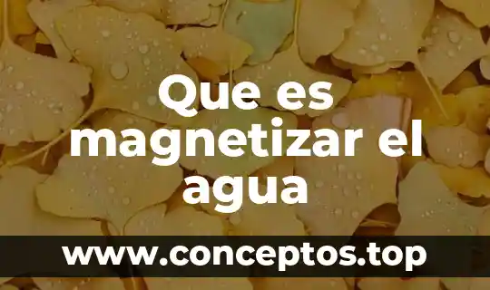 Que es un medidor tds agua 8 Que es magnetizar el agua