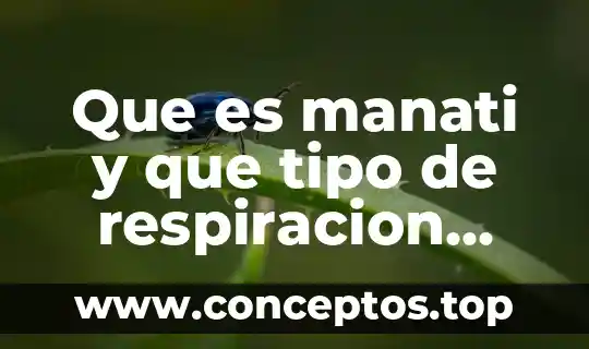 Que es manati y que tipo de respiracion tiene
