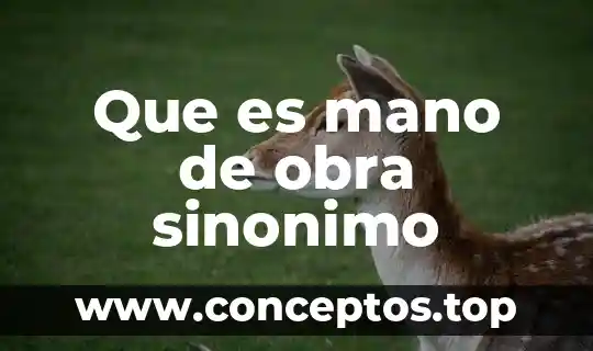 Que es mano de obra sinonimo