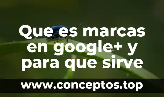 Que es marcas en google+ y para que sirve