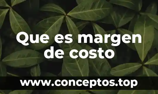 Que es margen de costo