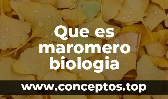 Que es maromero biologia