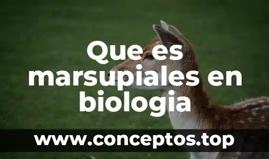 El principio de uniformidad en biología 3 Que es marsupiales en biologia