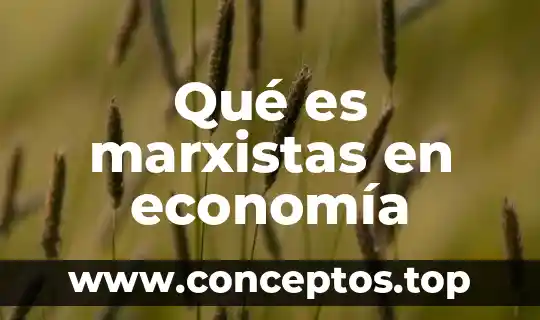 Qué es la igualdad en economía 6 Qué es marxistas en economía