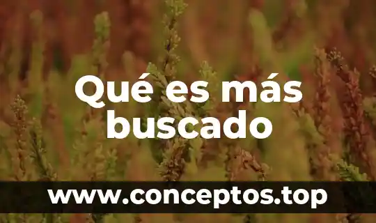 Qué es más buscado