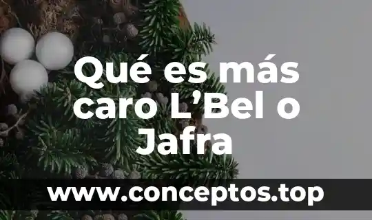 Qué es más caro L’Bel o Jafra