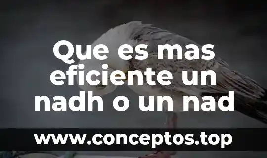 Que es lo mas importante que necesita un recien nacido 6 Que es mas eficiente un nadh o un nad
