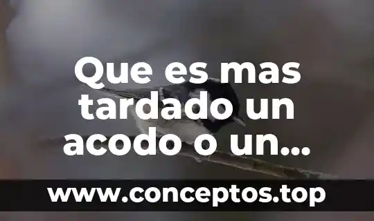 Que es mas tardado un acodo o un acodo aereo