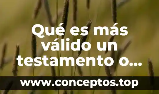 Que es lo mas importante que necesita un recien nacido 3 Qué es más válido un testamento o una donavido