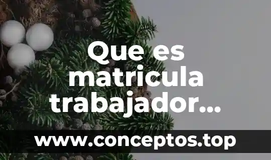 Que es el agua en uma entrevista 8 Que es matricula trabajador imss st7